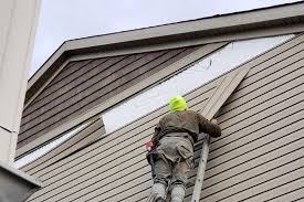 Best Historical Building Siding Restoration  in Country Walk, FL